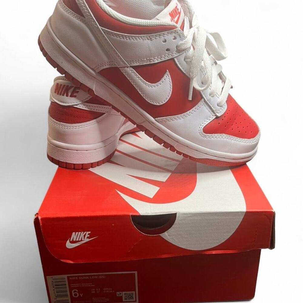 Nike dunk low gs university